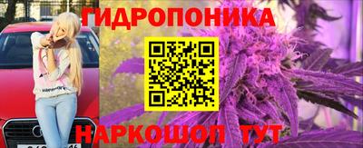 мяу мяу мука Бузулук