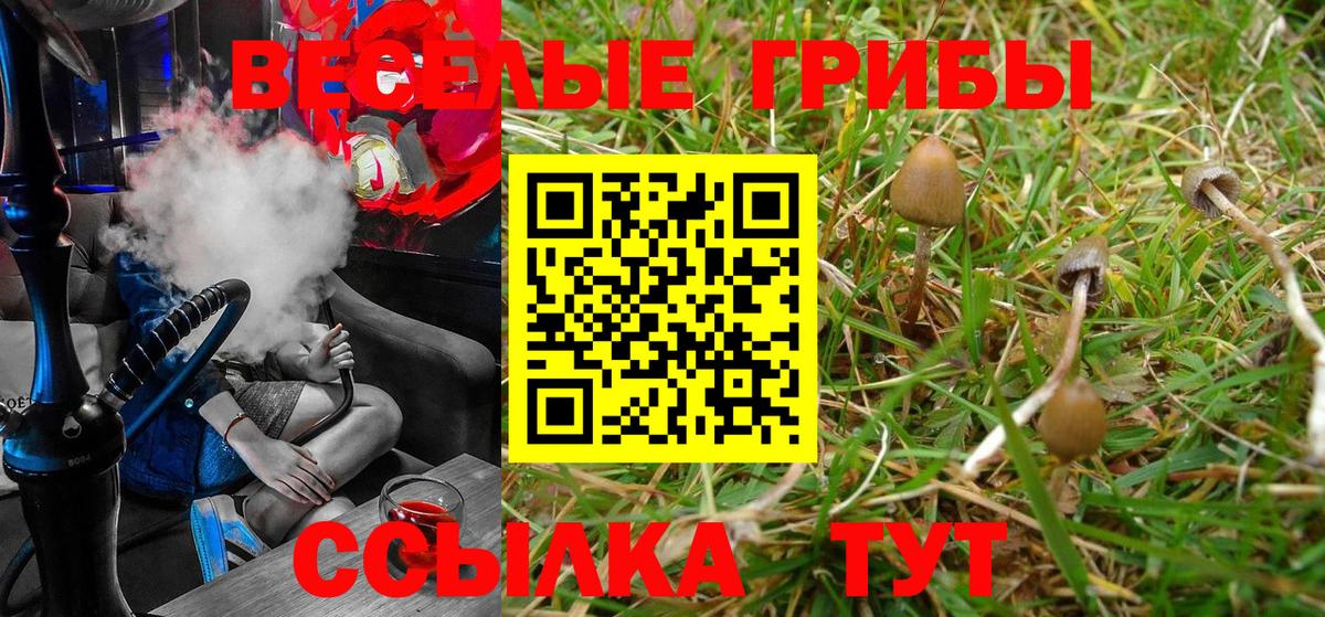 Галлюциногенные грибы GOLDEN TEACHER Аксай